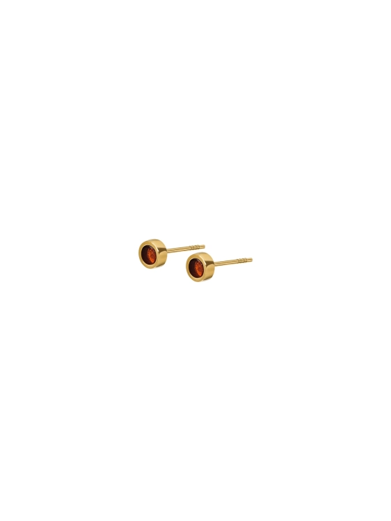 Tiny gold-plated stud earrings with cognac Baltic amber